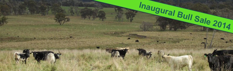 Contract Breeding Services